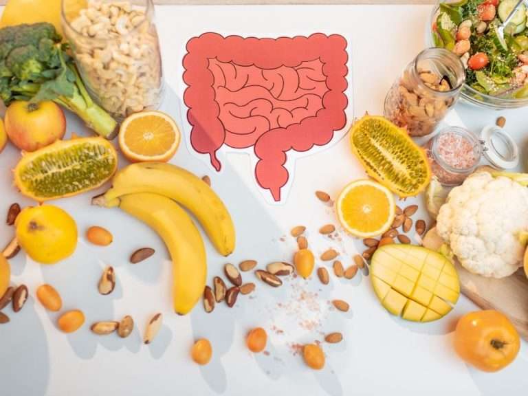 gut health drawing with fruits surrounding it