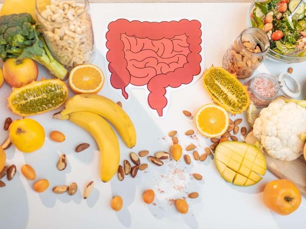 gut health drawing with fruits surrounding it