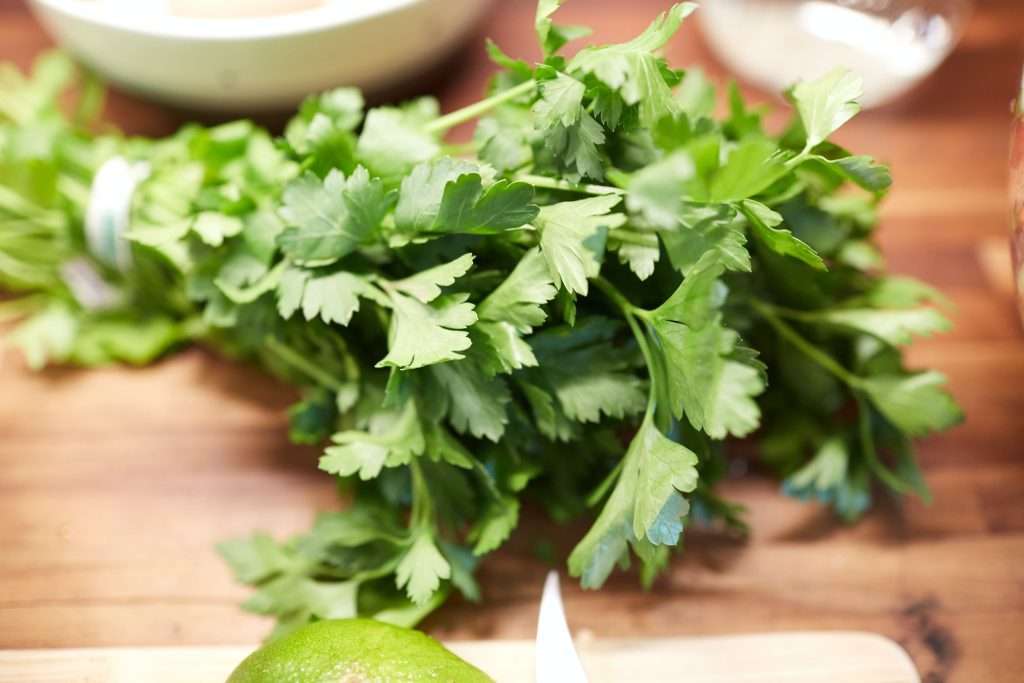 wrapped parsley close up