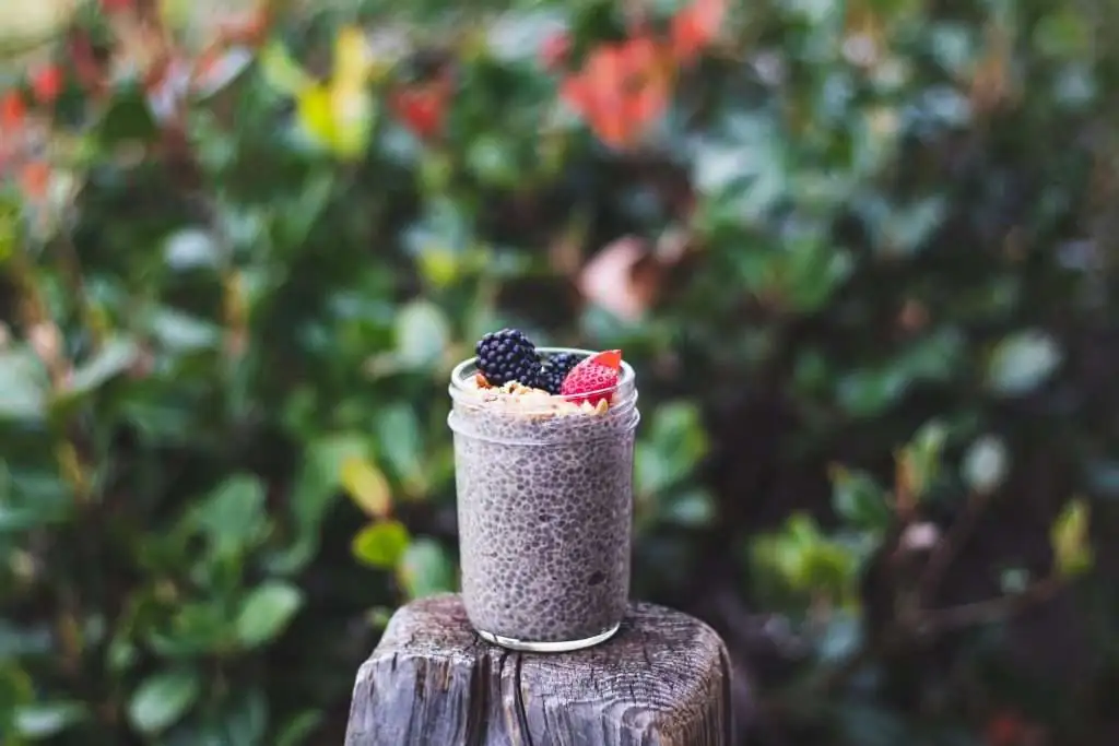 glass of chia pudding sitting on a tree