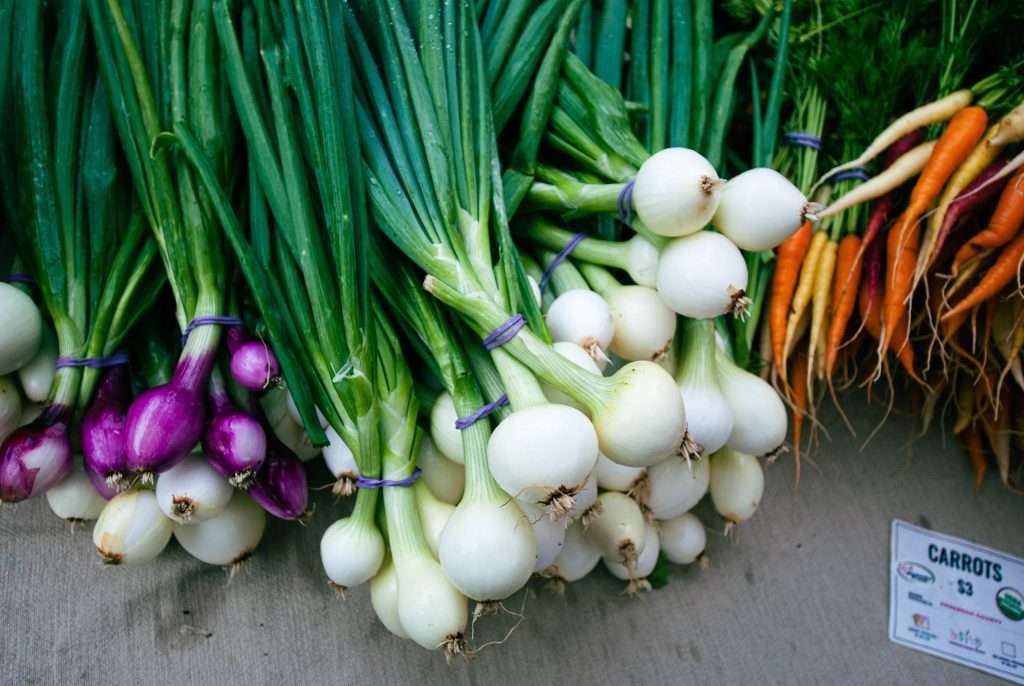 onions and carrots freshly picked