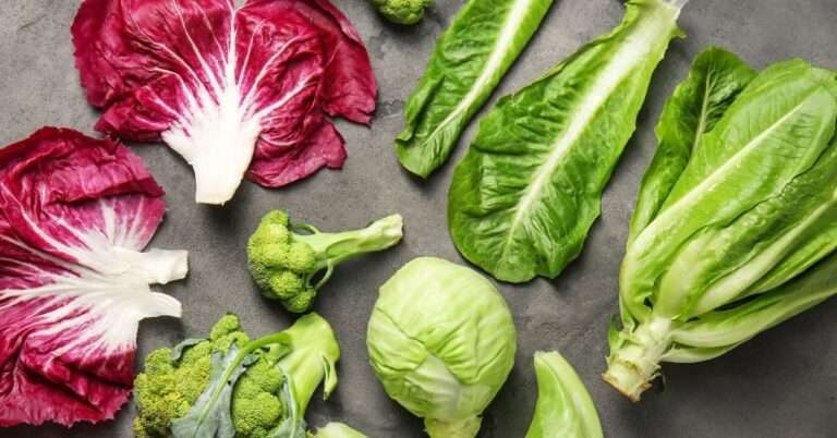 Assorted fresh greens including radicchio, romaine lettuce, broccoli, and cabbage on a grey surface.