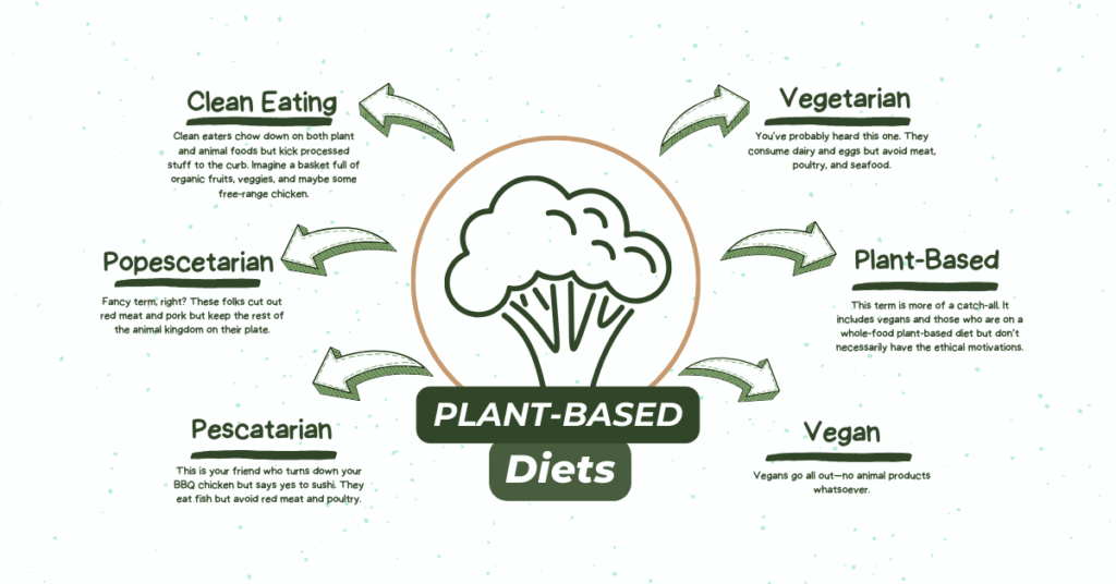 Types of plant-based diets