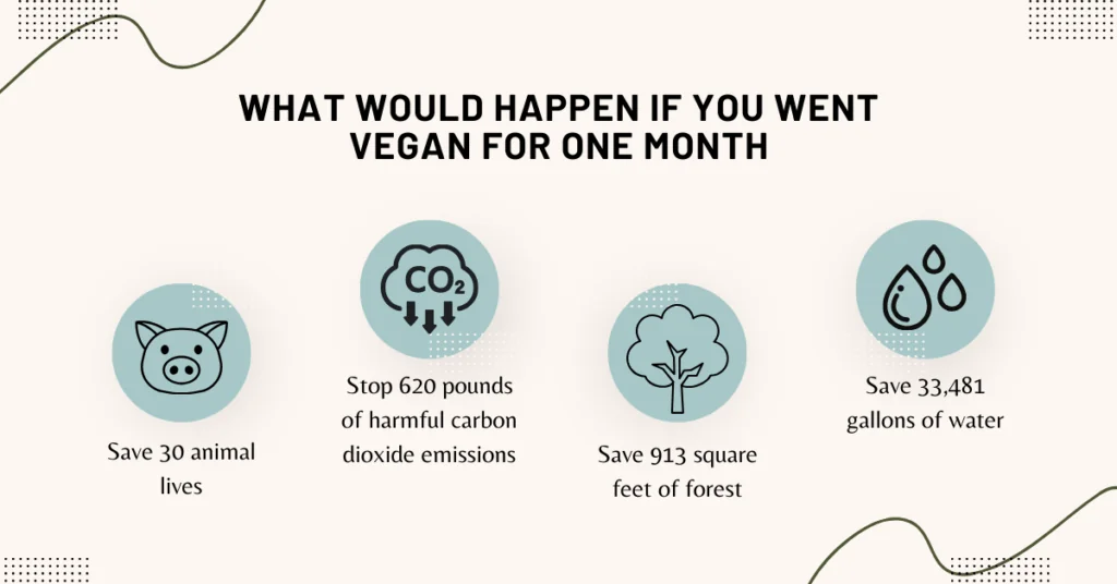 what would happen if you went vegan for a month